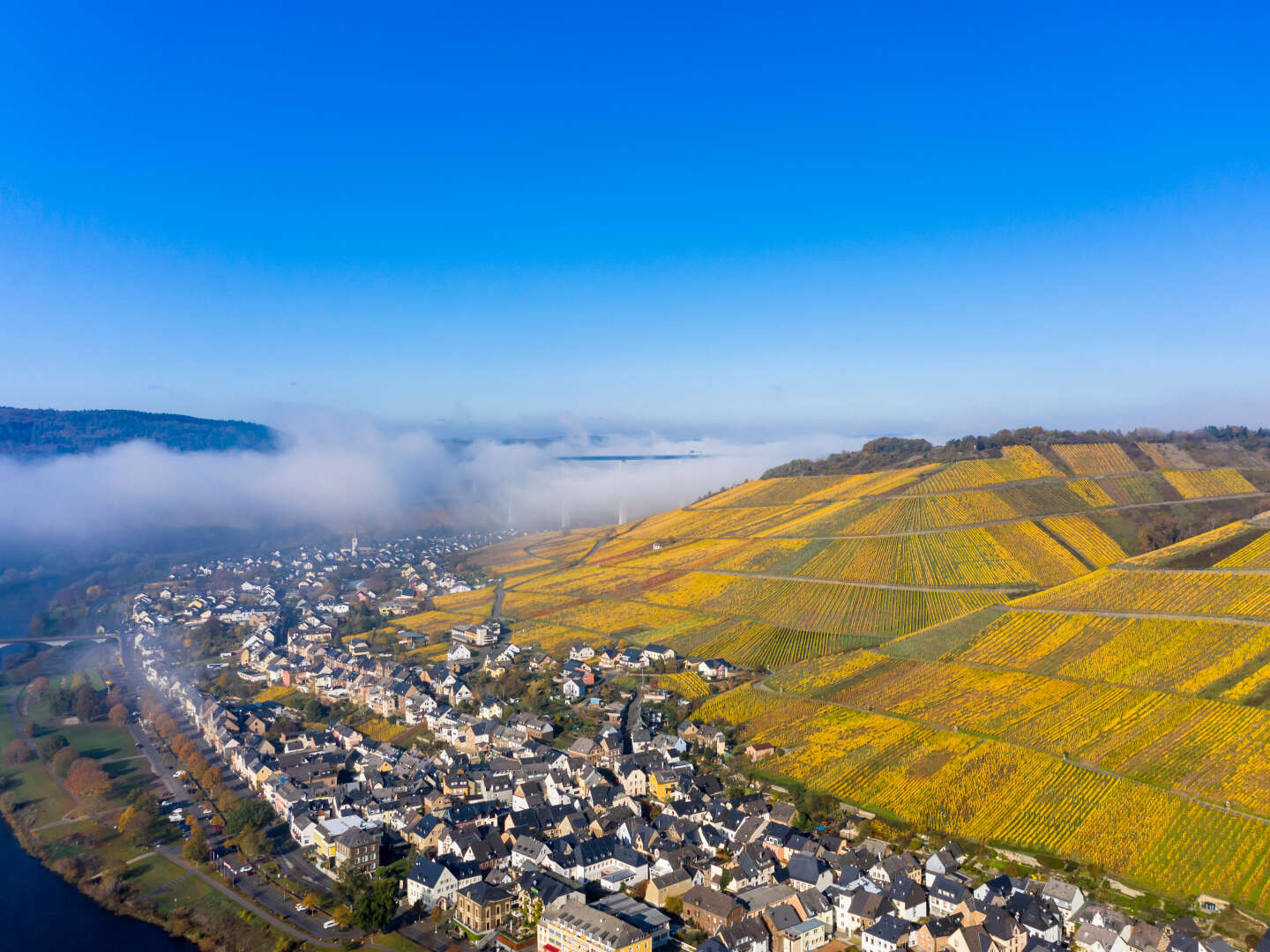 Faszination Mosel im Weinhotel 2
