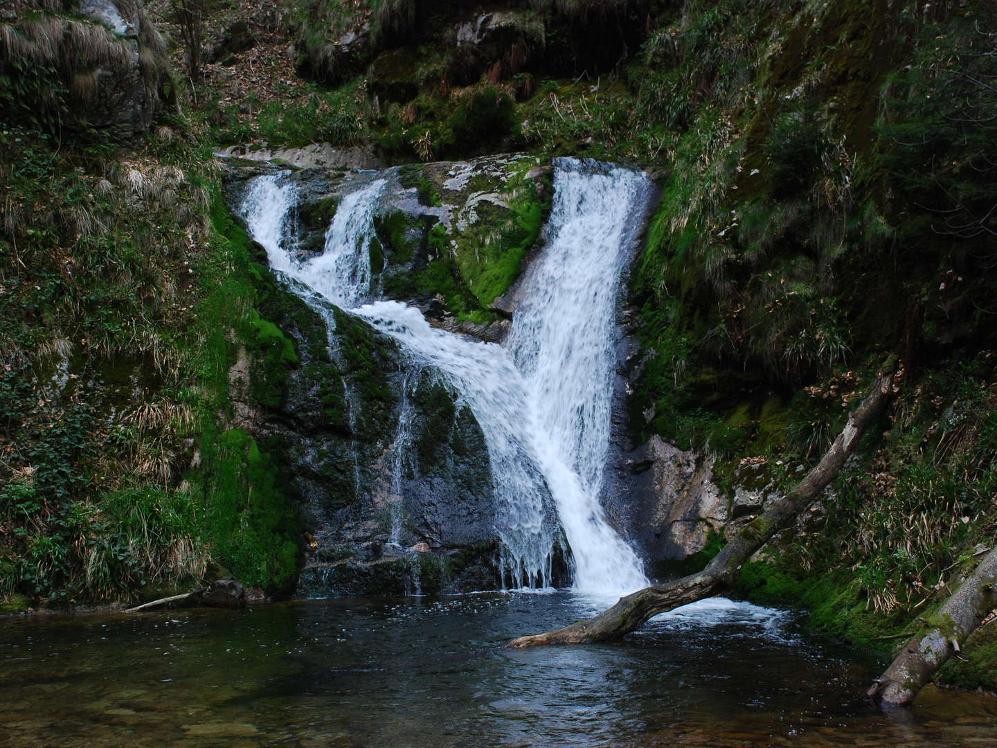 Dem Alltag geb' ich frei - 3 Tage Schwarzwald pur!