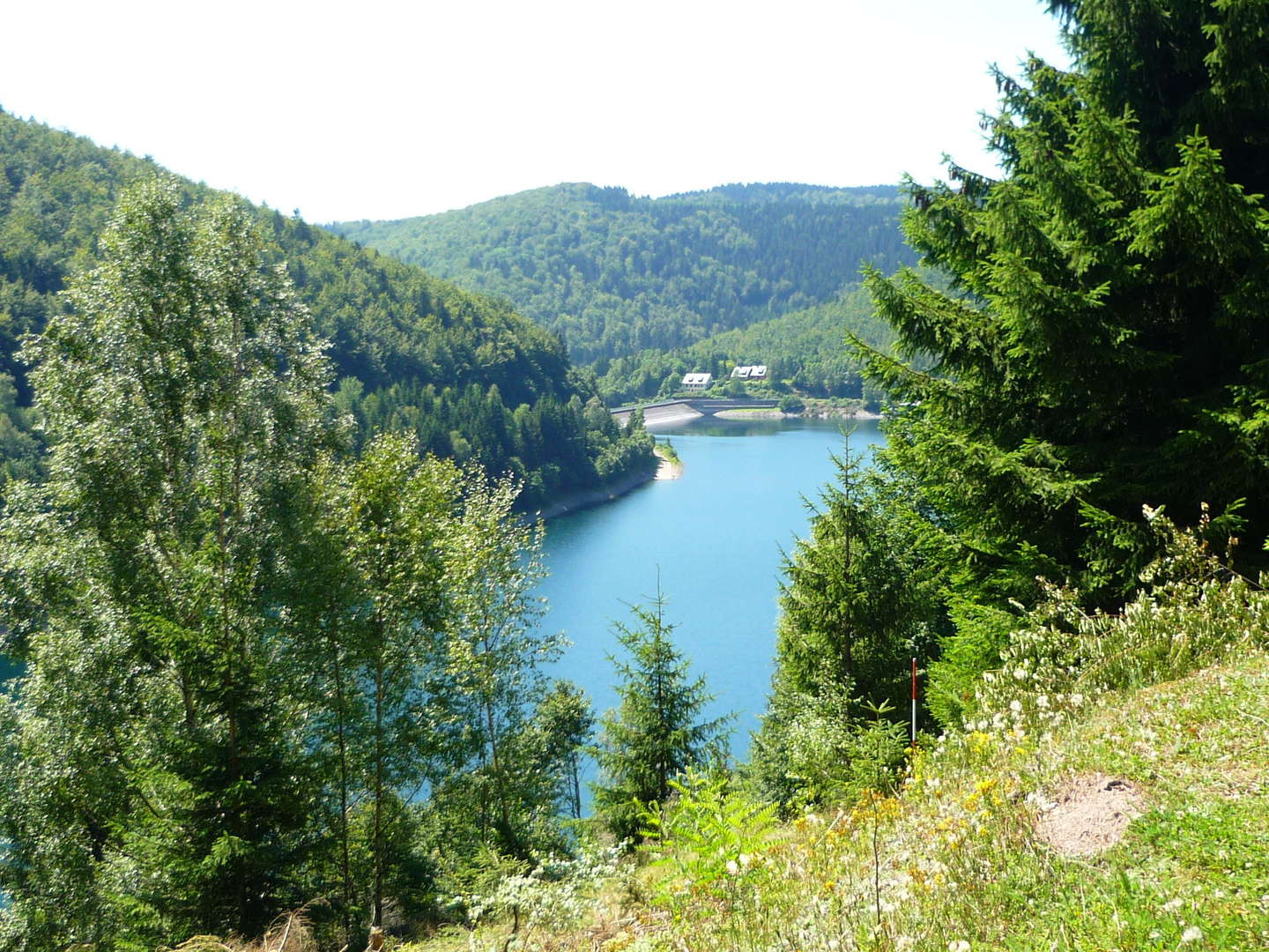 Die kleine Wanderlust 