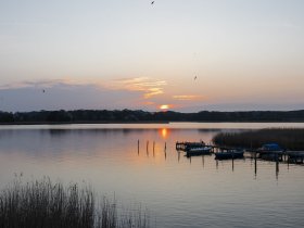 Hier sagen sich Fuchs & Hase 