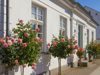 4 Tage Schnupperurlaub an Bord der Nautilus 