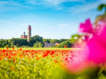 4 Tage Schnupperurlaub an Bord der Nautilus 