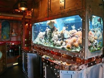 4 Tage Schnupperurlaub an Bord der Nautilus 