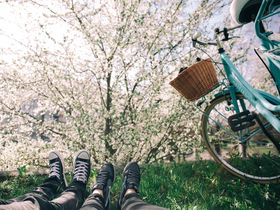 Kleine Auszeit im Steigenberger Parkhotel Braunschweig | 3 Tage