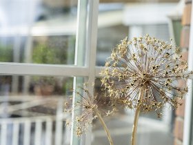 Im Land der Franken - 3 Tage Kurzurlaub in Würzburg inkl. Schifffahrt oder Besichtigung der Residenz