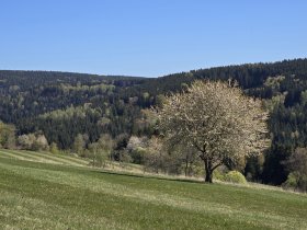 Romantischer Kurzurlaub für Zwei im Erzgebirge