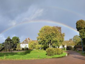 Frühling auf Rügen - 3 Tage inkl. 2x Abendessen
