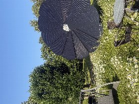 Frühling auf Rügen - 3 Tage inkl. 2x Abendessen