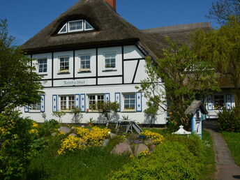Frühling auf Rügen - 3 Tage inkl. 2x Abendessen