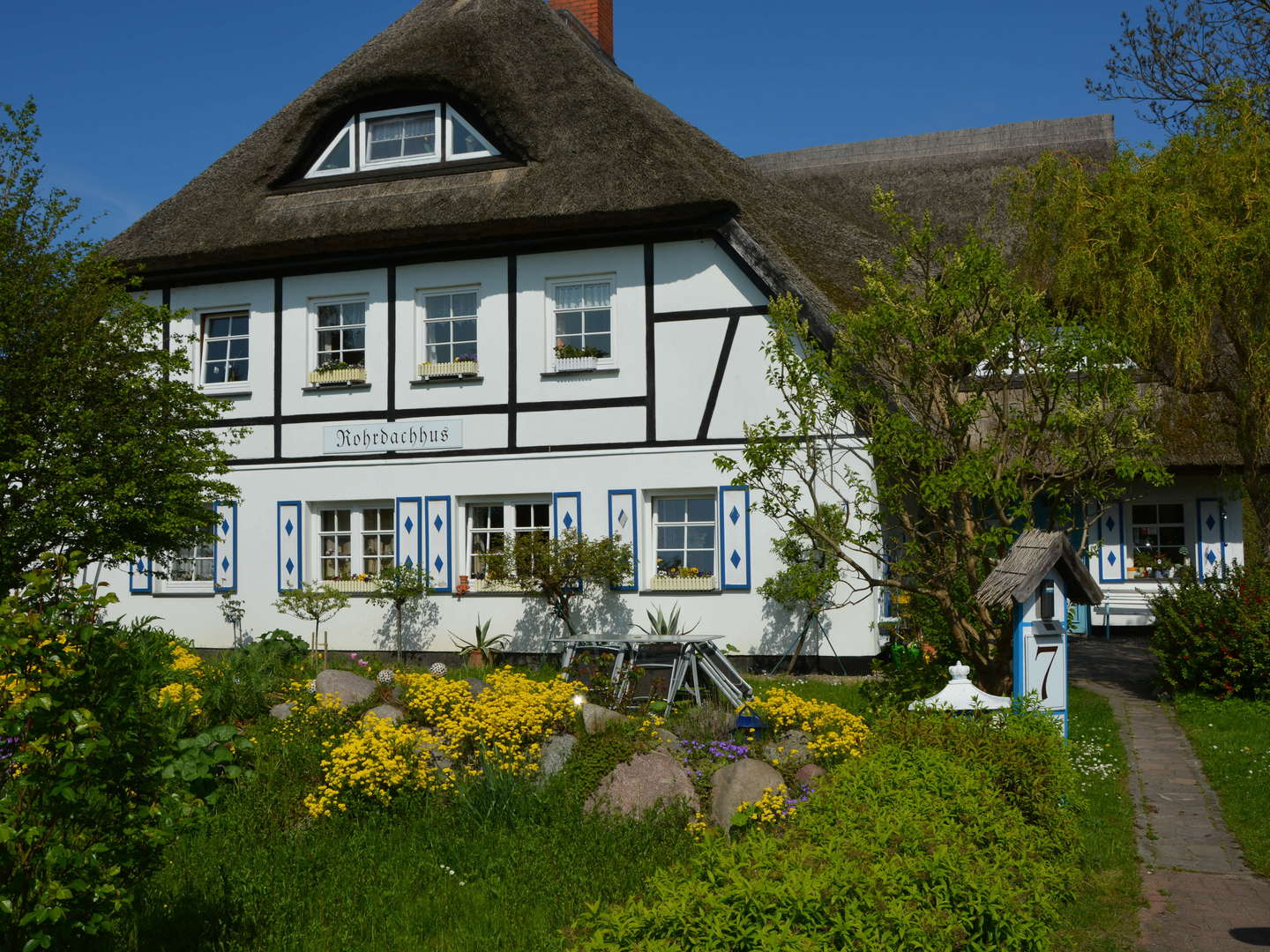 Frühling auf Rügen - 3 Tage inkl. 2x Abendessen