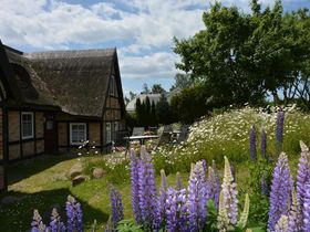Frühling auf Rügen - 3 Tage inkl. 2x Abendessen