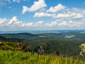 5=4 (5 Nächte bleiben, 4 Nächte bezahlen) - Auszeit im Schwarzwald