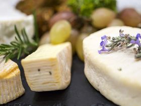 Rheinsteig - Jubiläum, 5 Tage Wandern inkl. Wanderverpflegung