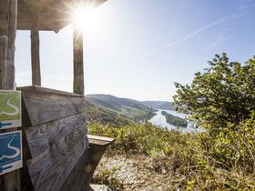 Rheinsteig - Jubiläum, 5 Tage Wandern inkl. Wanderverpflegung