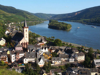 Wandern auf vier Pfoten am Rhein | 3 Tage inkl. Lunchpaket