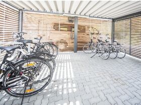 Rheinsteig - Jubiläum, 5 Tage Wandern inkl. Wanderverpflegung