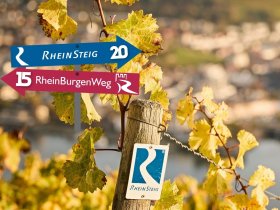 Rheinsteig - Jubiläum, 5 Tage Wandern inkl. Wanderverpflegung