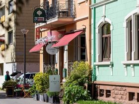 Wandern und Radeln am Rhein - Strassburg - 4 Tage