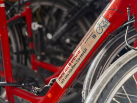 Speyer Adventszauber | 3 Tage in der Pfalz