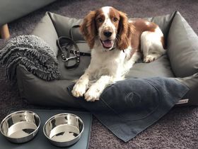 Speyer Adventszauber | 3 Tage in der Pfalz