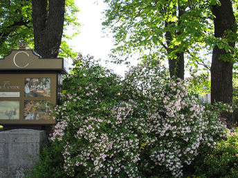 Bild 23 von 25