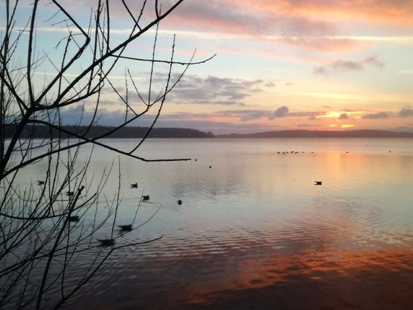 Goldener Herbst auf  der Mecklenburgischen Seenplatte