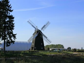 Goldener Herbst auf  der Mecklenburgischen Seenplatte
