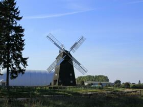 Goldener Herbst auf  der Mecklenburgischen Seenplatte