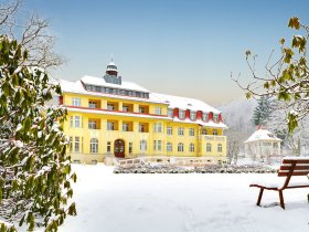 3 Tage Harz-Winterschnäppchen inkl. Halbpension Plus