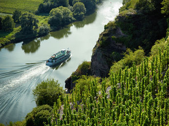 Die Mosel entdecken! | 8 Tage inkl. Schifffahrt