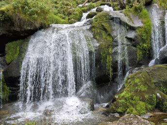 Genussvoller Kurzurlaub im Schwarzwald mit Solemar -Therme
