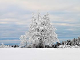 Silvesterzauber im Herzen der Rhön - Entspannt ins neue Jahr starten