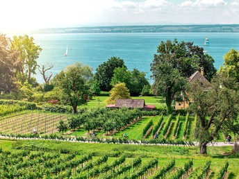 4 Tage Silvester am Bodensee