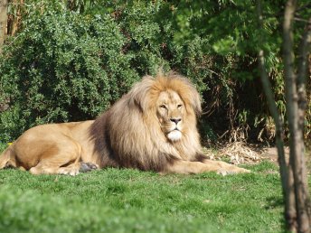 3 Tage maritimer Seeurlaub inklusive Eintritt für den Zoo Leipzig