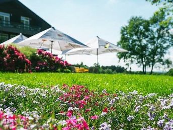 Sommerzeit ist Heidezeit 3 Nächte