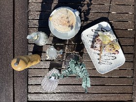 2 Nächte Stressless - Kurzurlaub zum Schnuppern im Schwarzatal, im schönen Thüringer Wald