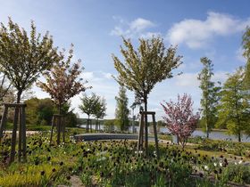 Weihnachten auf Usedom - 3 Nächte  