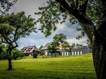 Pfingsten in der Nähe vom Bodensee - 4 Tage