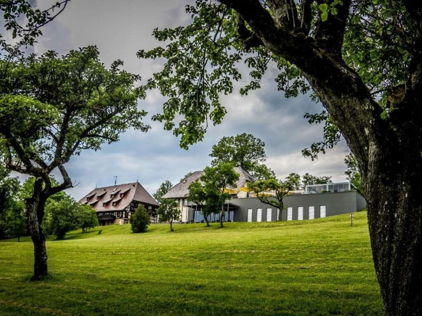 Pfingsten in der Nähe vom Bodensee - 4 Tage