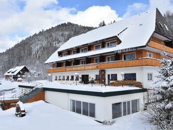 Bild 36 von 37