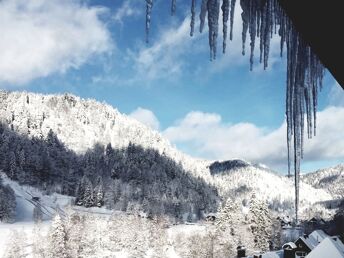 Bild 37 von 37