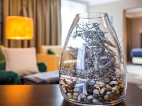 Schnapsidee im Sauerland - Willkommen mit dem ersten Kurzen!