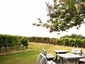 Genussvoll Rheinhessen entdecken - 3 Tage Alzey