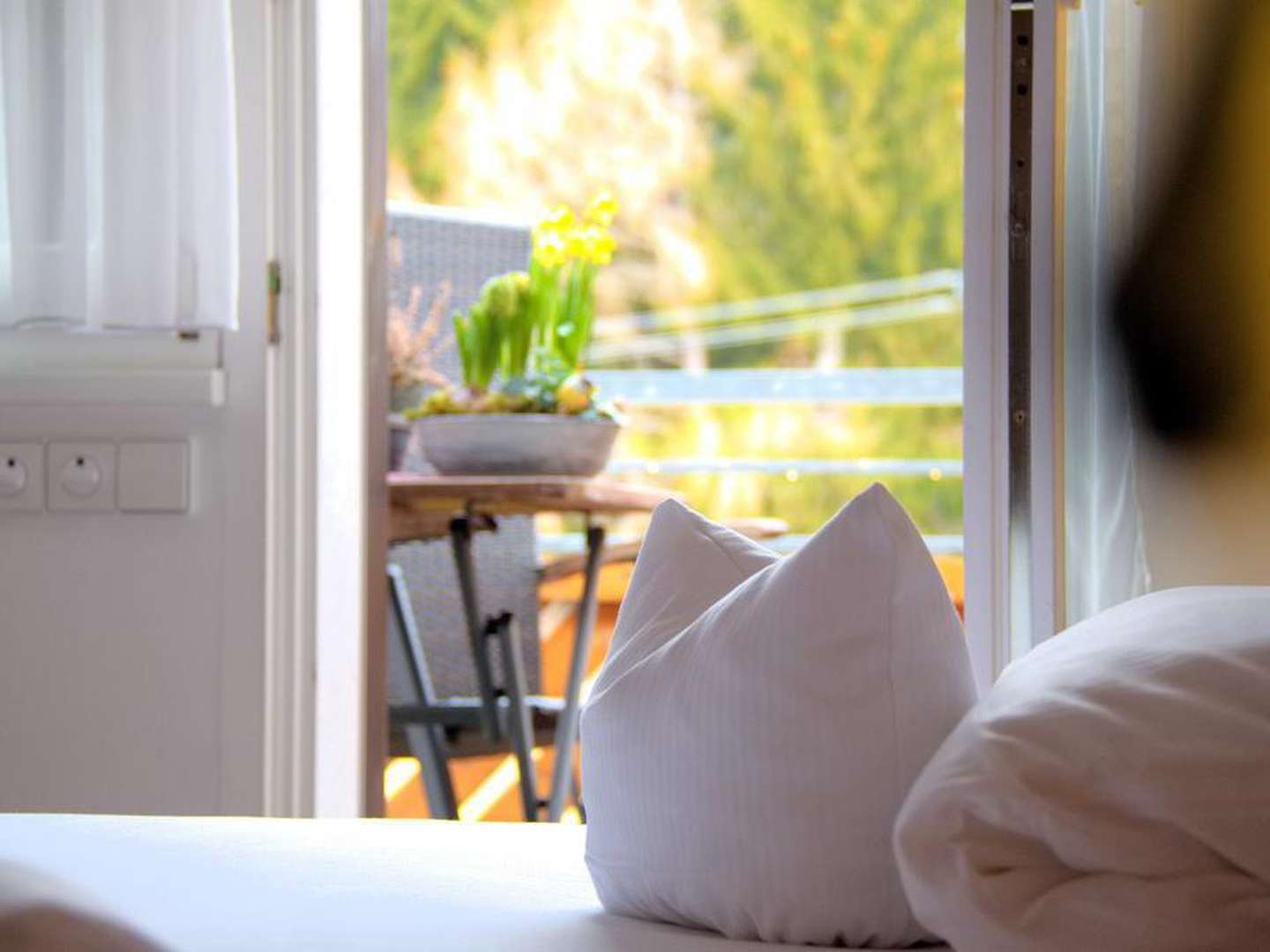 Wandern und Biken im Schwarzwald | 4 Tage Fohrenbühl