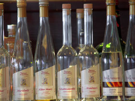 Urlaub am Fohrenbühl | 6 Tage Schwarzwald 