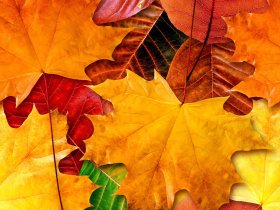 30% Last Minute-Herbst-Rabatt für Ihren Kurzurlaub im Sauerland 2026