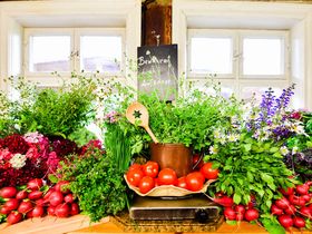 2 Spreewälder Schnäppchentage 