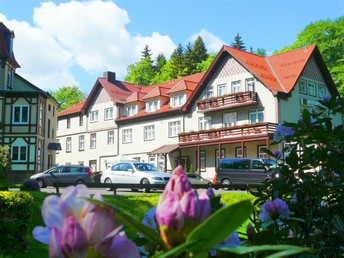 Kurz mal raus in den Thüringer Wald