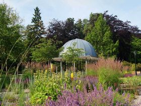 Zeit für die Familie im Thüringer Wald - ein Kind mit im Gepäck
