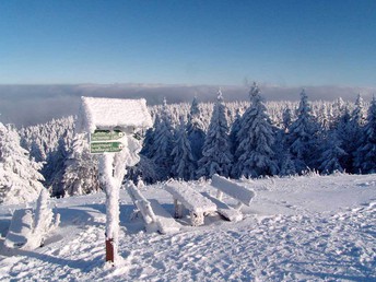 Kurz mal raus in den Thüringer Wald